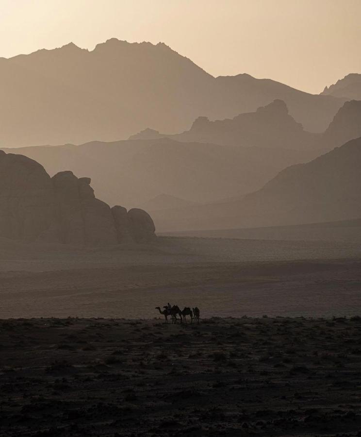 Wadirum Zeid Camp&Tours Wadi Rum Bagian luar foto