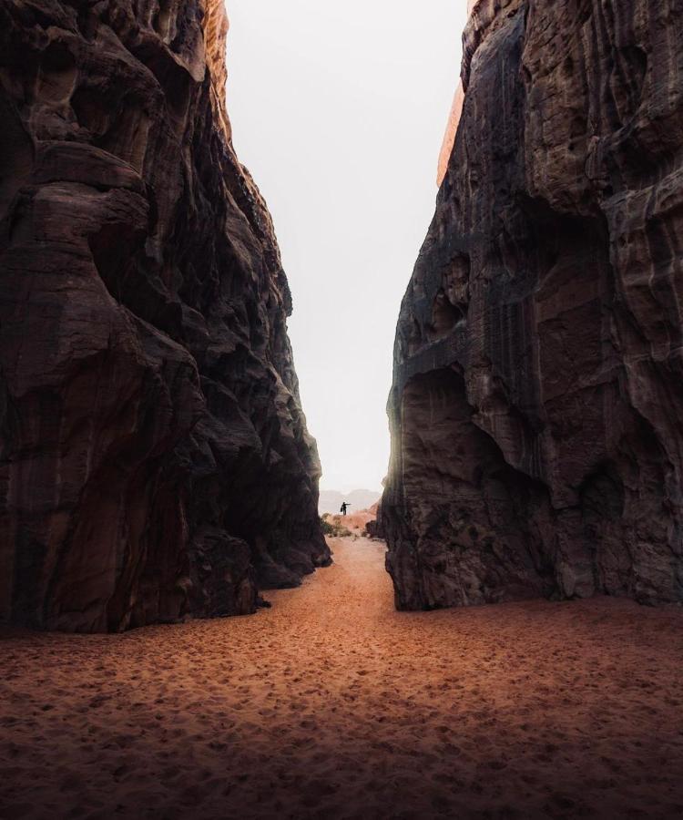 Wadirum Zeid Camp&Tours Wadi Rum Bagian luar foto