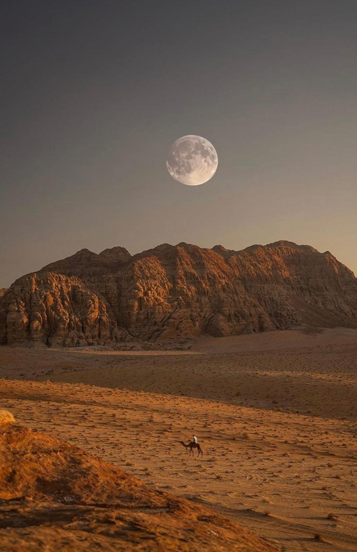 Wadirum Zeid Camp&Tours Wadi Rum Bagian luar foto