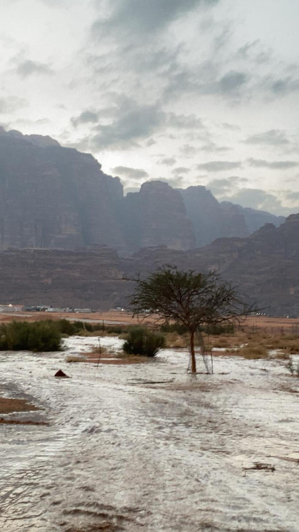 Wadirum Zeid Camp&Tours Wadi Rum Bagian luar foto